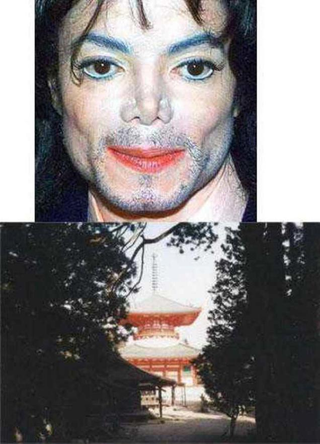 Illustration for article titled Japan's "Totally Looks Like" Meme Is Totally Amusing